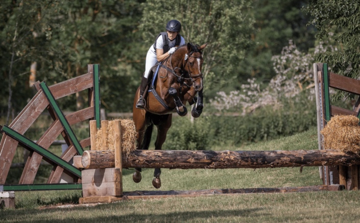 Pferd und Reiter springen über einen Baumstamm
