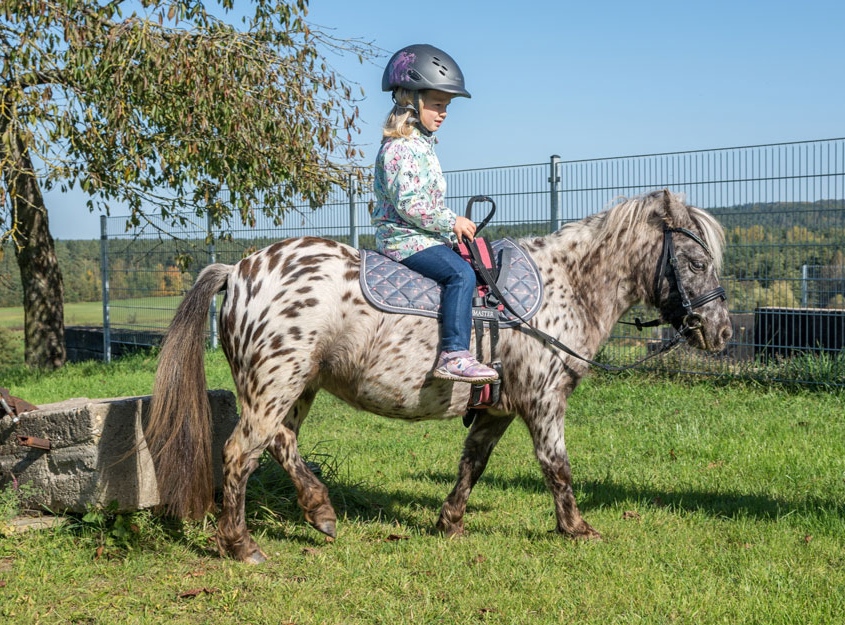 Kind reitet auf einem Pony